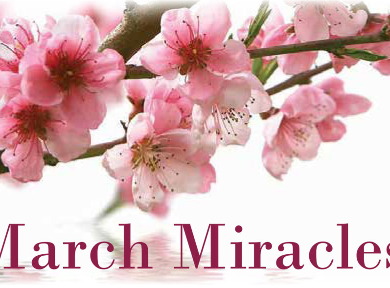 March Miracles Together AZ