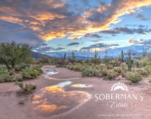 Soberman's estate in the shadow of the saguaro